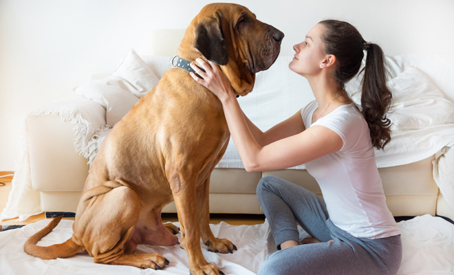 Descubre el significado de soñar con tierra y perros