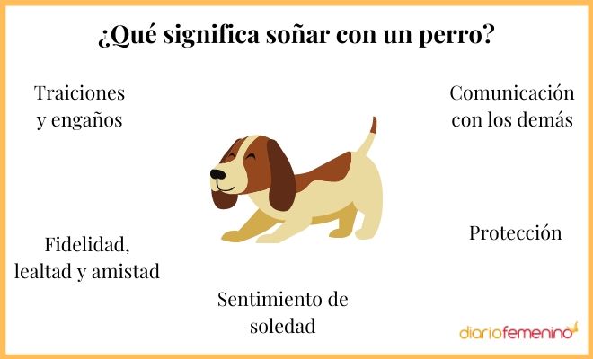 Descubre el significado de soñar con tu perro perdido