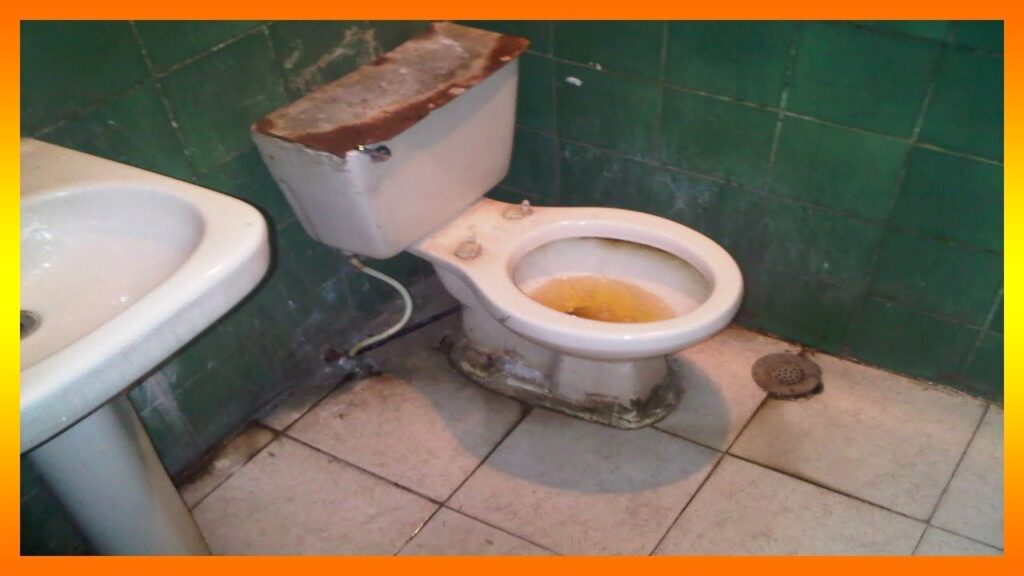 Descubre el significado de soñar con un baño sucio y con excremento