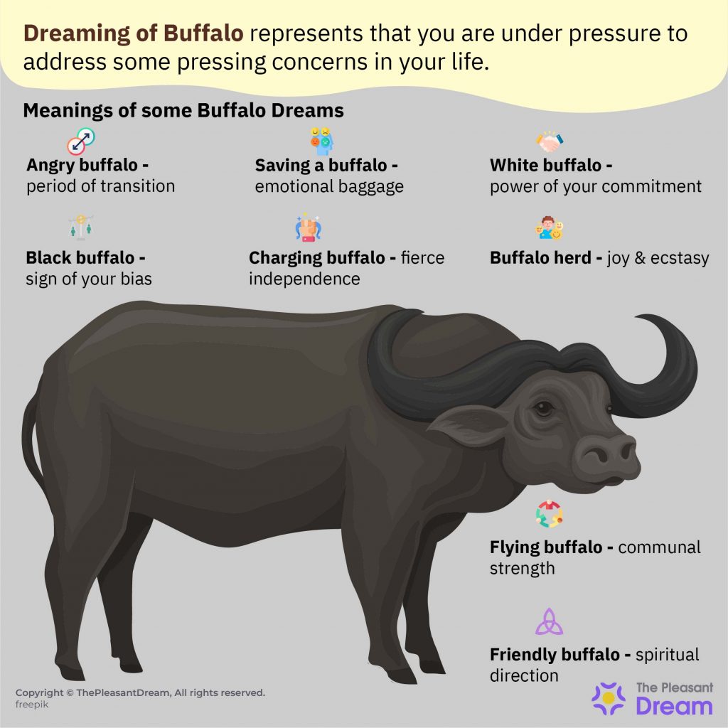 Descubre el significado de soñar con un búfalo persiguiéndote