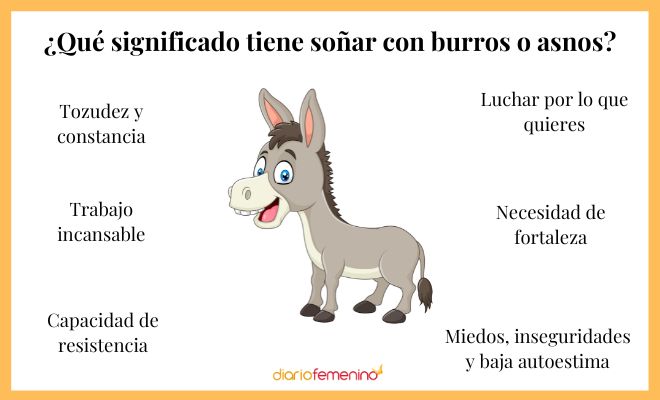 Descubre el significado de soñar con un burro que te muerde