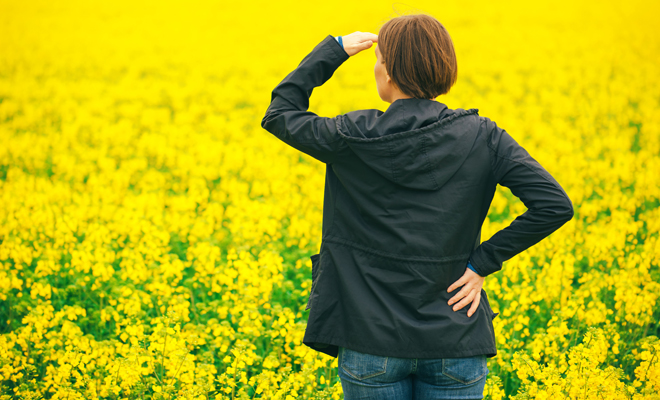 Descubre el significado de soñar con un campo de flores amarillas