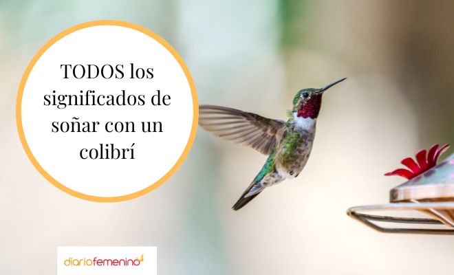 Descubre el significado de soñar con un colibrí en la mano