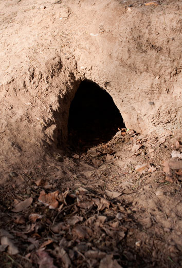 Descubre el significado de soñar con un gran hoyo en la tierra