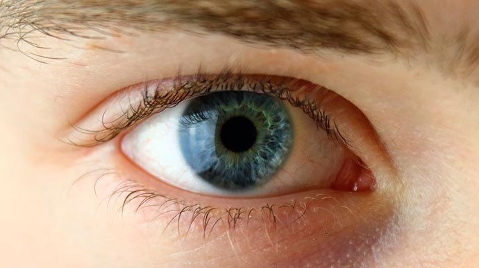 Descubre el significado de soñar con un hombre de ojos verdes