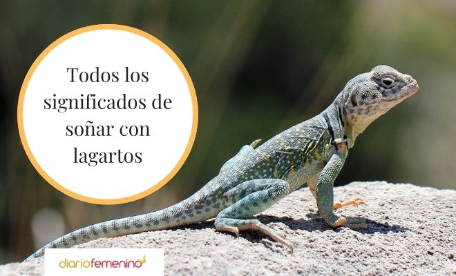 Descubre el significado de soñar con un lagarto que te come