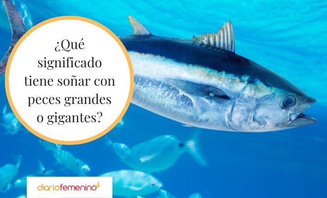 Descubre el significado de soñar con un lago lleno de peces