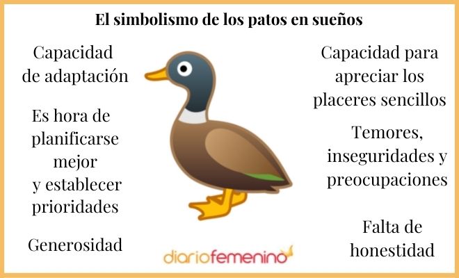 Descubre el significado de soñar con un pato blanco que te muerde