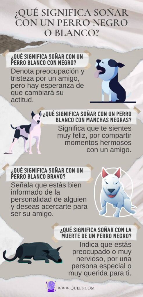 Descubre el significado de soñar con un perro blanco y negro