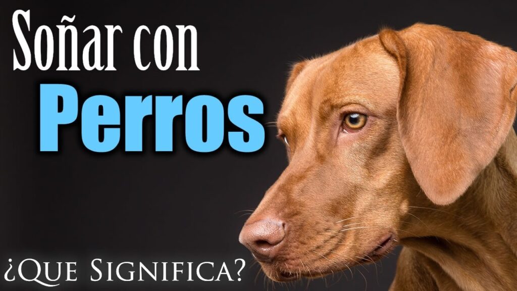 Descubre el significado de soñar con un perro protector