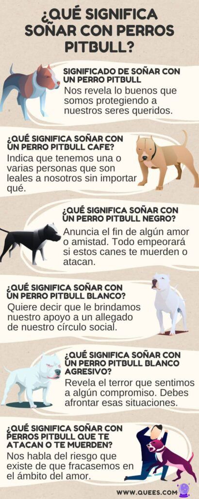 Descubre el significado de soñar con un pitbull blanco y marrón