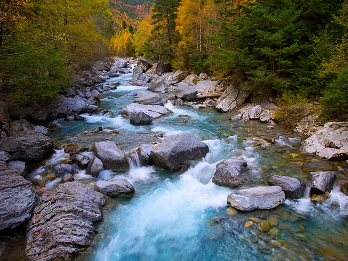 Descubre el significado de soñar con un río que arrastra tu casa