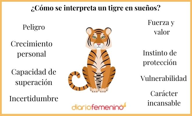 Descubre el significado de soñar con un tigre que te ataca