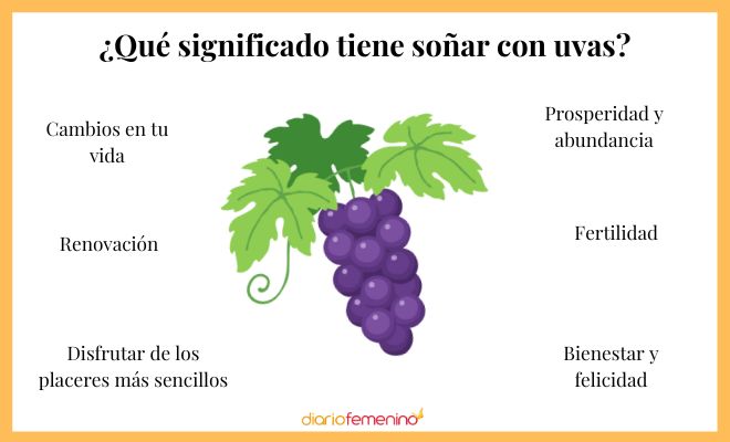 Descubre el significado de soñar con una cepa de uvas blancas