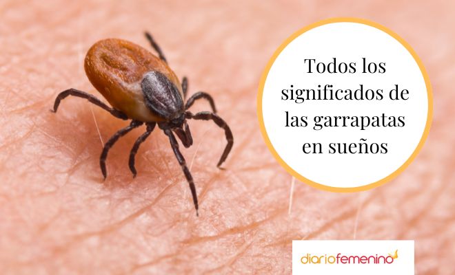 Descubre el significado de soñar con una garrapata que te pica