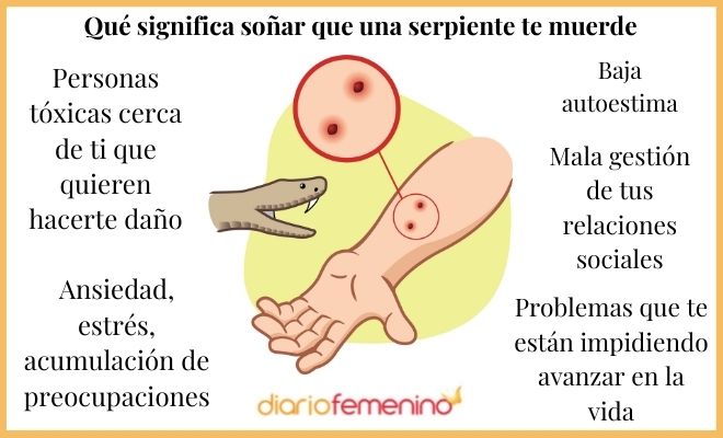 ¡Descubre el significado de soñar con una mordida en la mano!