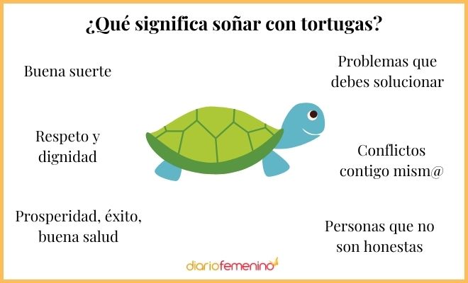 Descubre el significado de soñar con una tortuga que te sigue