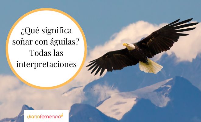 Descubre el significado de soñar con volar como un águila