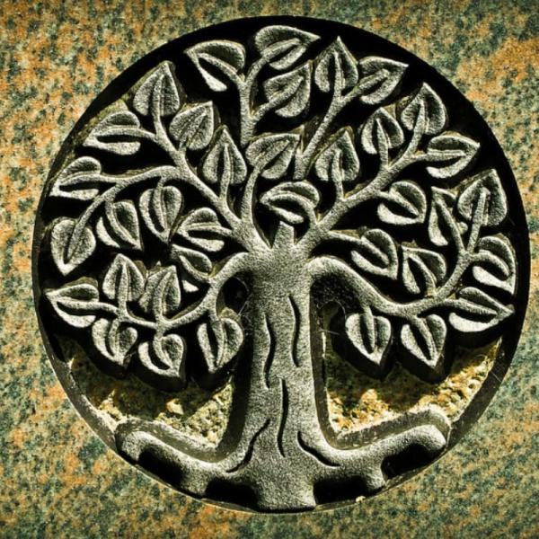 Descubre el significado de tus sueños: el árbol de la vida