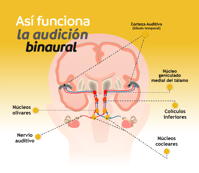 Descubre el significado de tus sueños tras escuchar música Theta