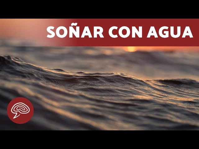 Descubre el significado del sueño de cruzar un arroyo de agua clara