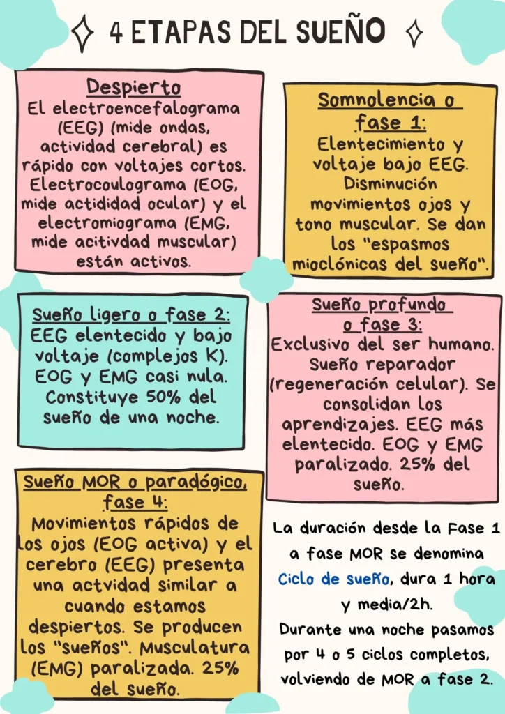 Descubre en qué ciclo del sueño se producen los sueños