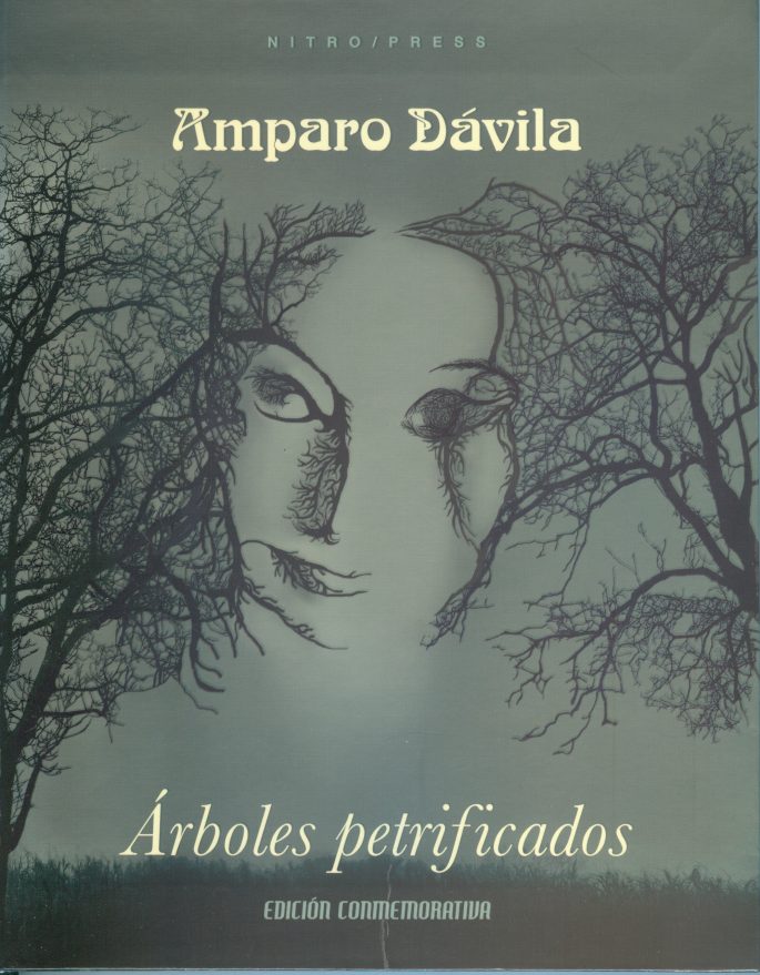 Descubre la fascinante obra de Amparo Dávila en 'Meditaciones a la orilla del sueño'