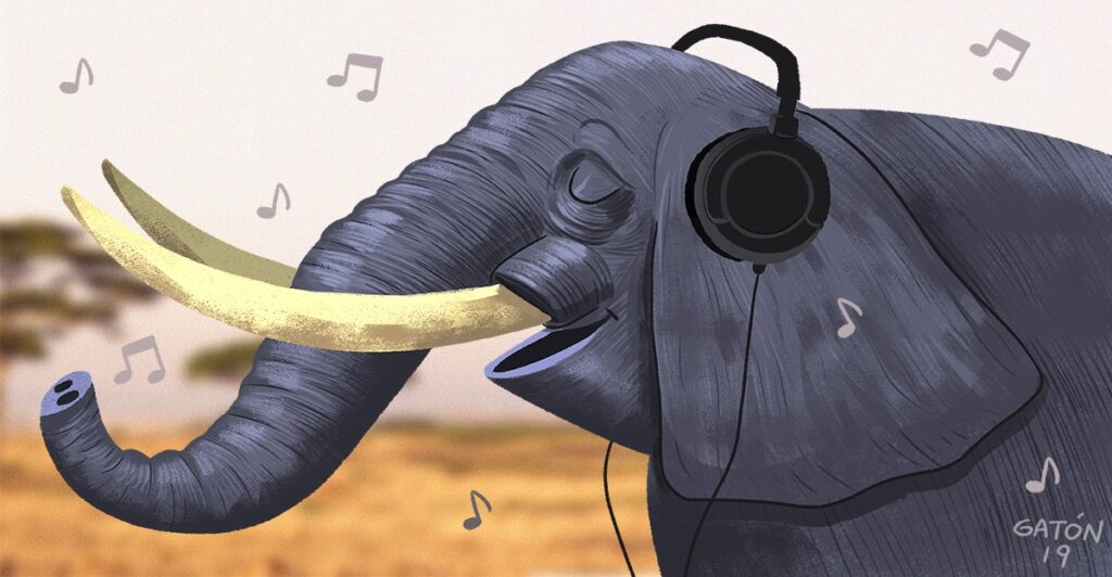 Descubre la magia de los elefantes y la música con nuestro presentador