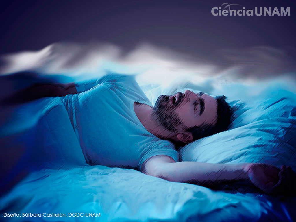 Descubre las causas del sueño excesivo en personas: ¡Conoce más aquí!