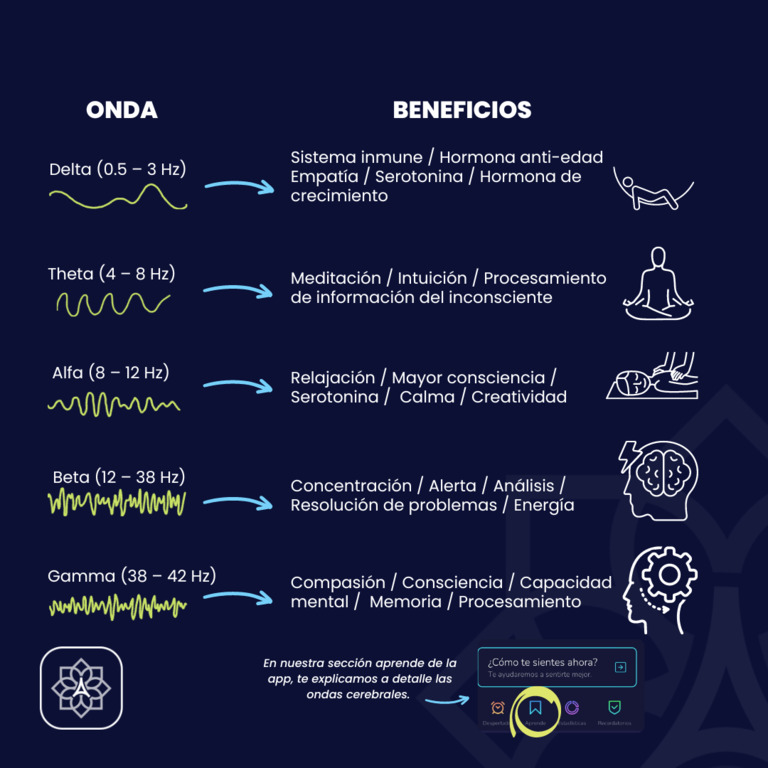 Descubre las claves del sueño profundo: ondas lentas cerebrales