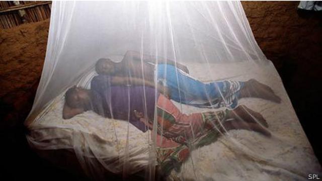 Descubre las diferencias entre la malaria y el mal de sueño