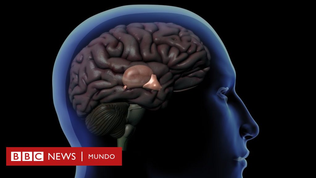 Descubre las hormonas y glándulas afectadas por la falta de sueño