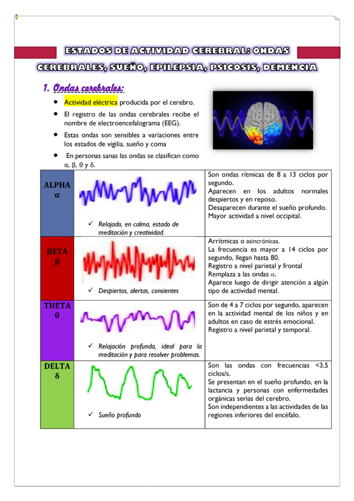 Descubre las ondas cerebrales del trastorno del sueño MOR