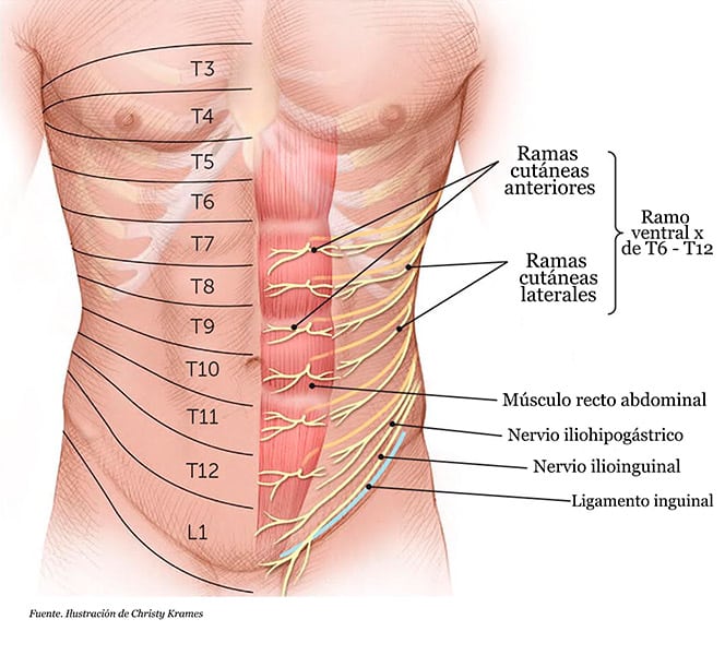 Descubre las posibles causas de dolor abdominal durante la relajación