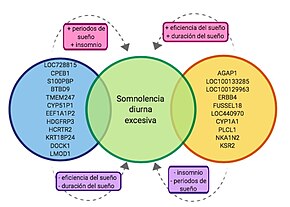 Descubre las posibles causas de la somnolencia excesiva