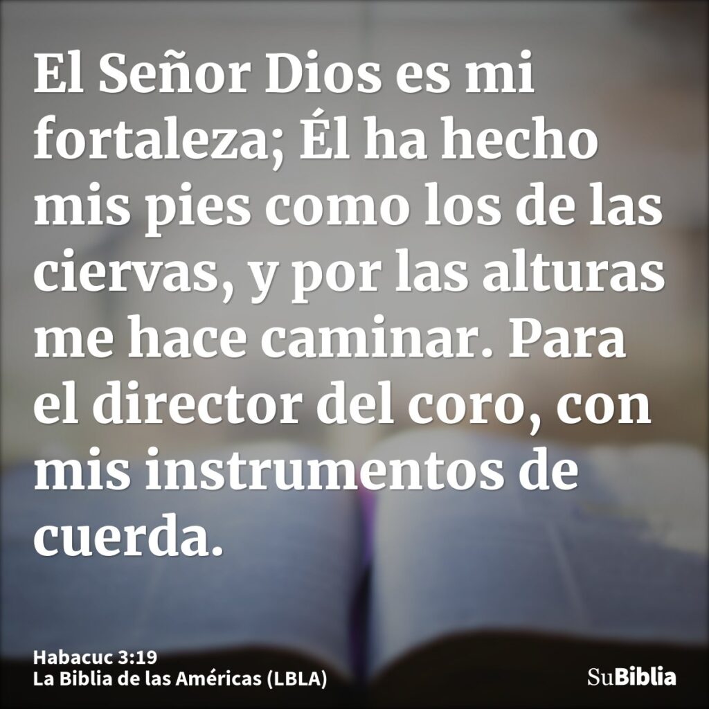 Descubre lo que te hace vibrar con la Biblia