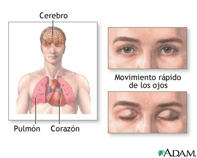 Descubre los movimientos oculares en el sueño según Griesinger