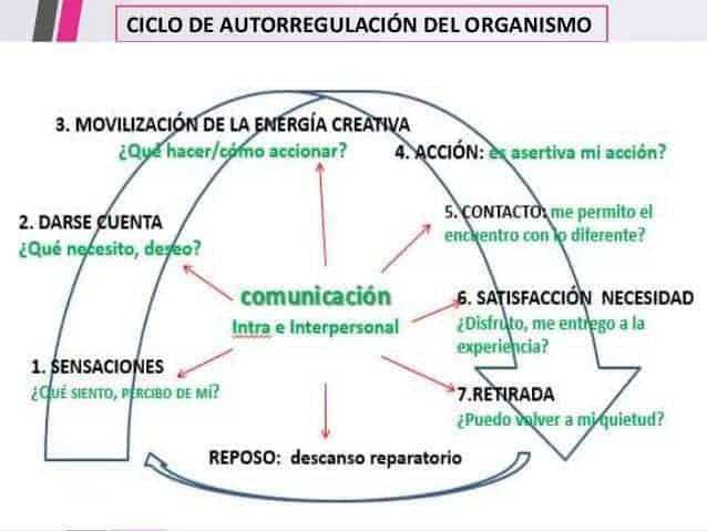 Descubre los pasos clave para interpretar tus sueños en la Gestalt