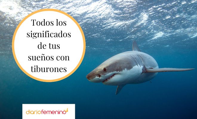 Descubre qué significa soñar con un tiburón mordiendo tu pie