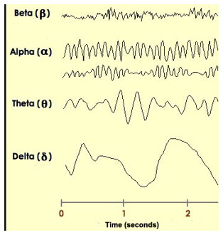 Descubre tus sueños: registro gráfico de ondas cerebrales