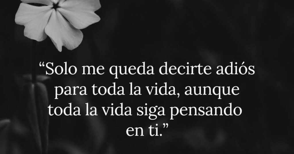 Despedida en sueños: El emotivo adiós de un amigo fallecido