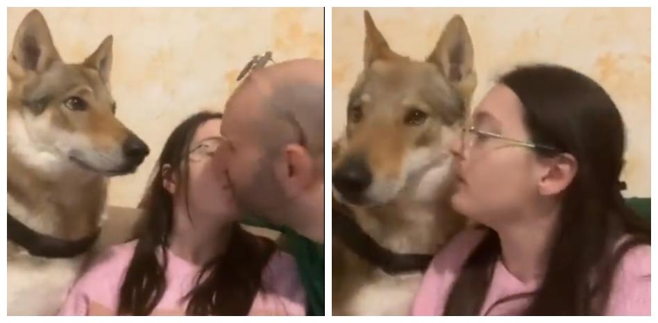 Despertando con sorpresa: El beso soñado era de tu mascota