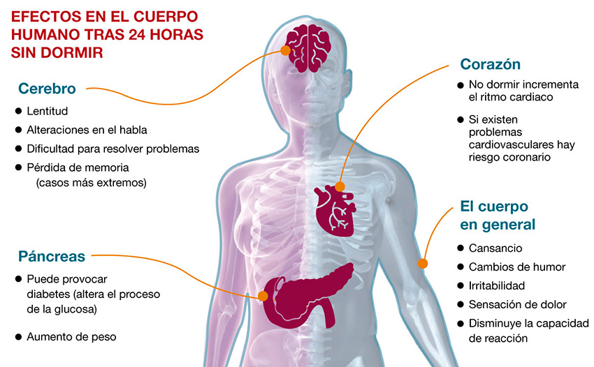 ¡Despierta! Descubre cómo evitar el sueño en cualquier momento