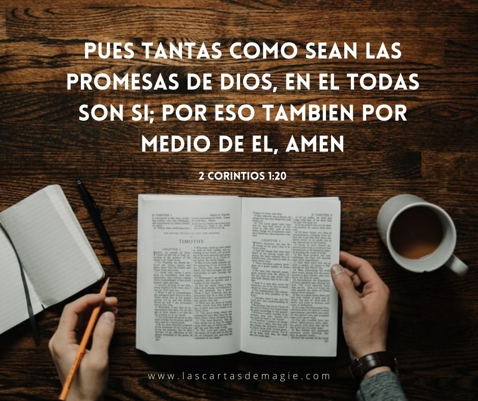 Despierta y cumple tu propósito con la Biblia: ¡levántate del sueño!