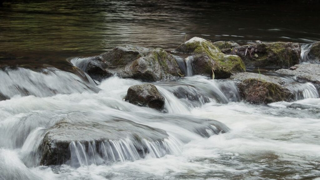 Desvelando el misterio: ¿Por qué sueñas con limpiar el limo de un río?