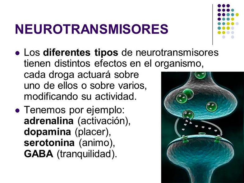 Desvelarte afecta tus neurotransmisores: descubre cómo