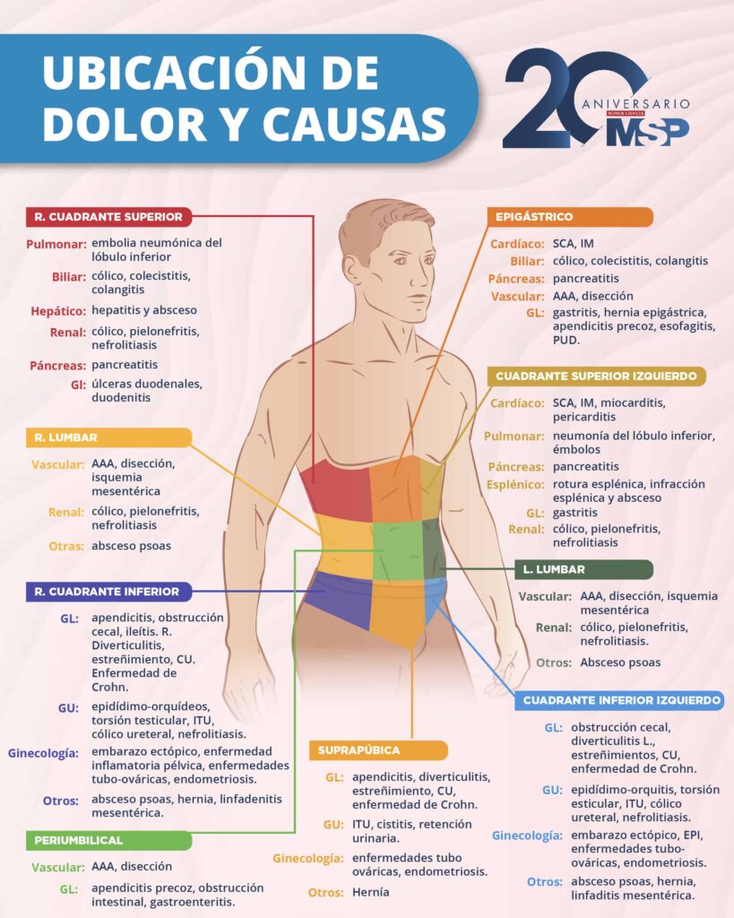 ¿Dolor abdominal y fatiga constante? Descubre las posibles causas