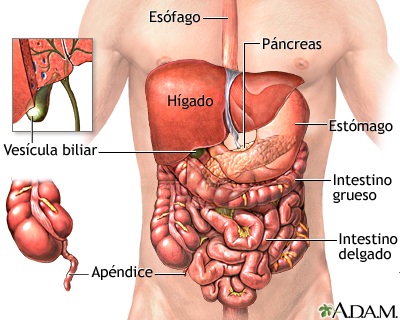 Dolor estomacal, sangrado y temblores: ¿qué está pasando en tu cuerpo?