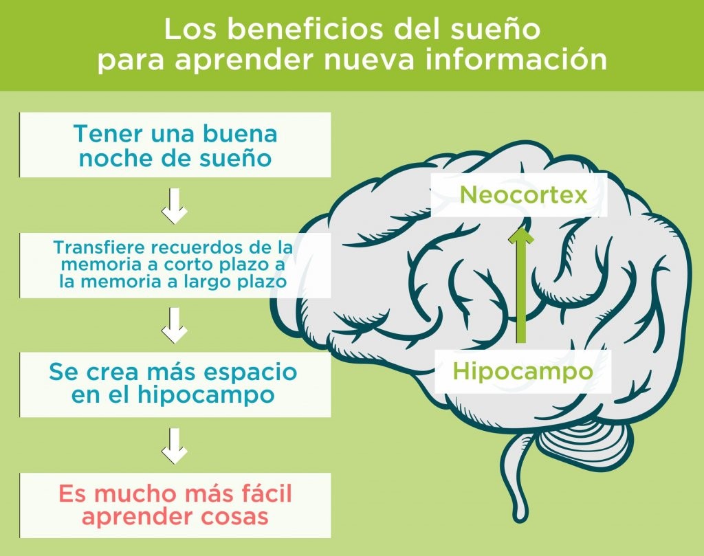 Dormir bien mejora tu memoria a corto plazo: descubre cómo