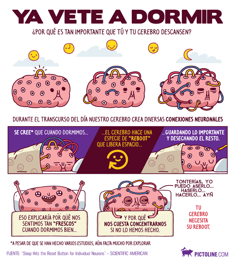 Dormir poco afecta tu cerebro: conoce los factores neurobiológicos